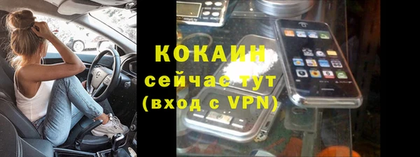 дживик Россошь