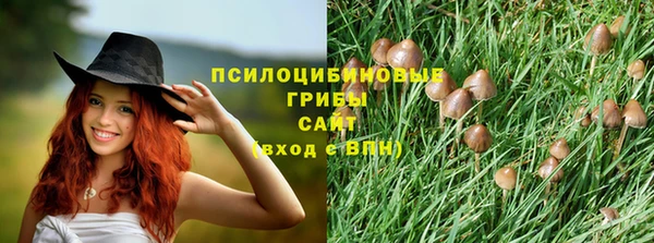 mix Арсеньев